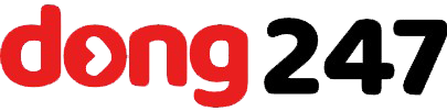 DONG247